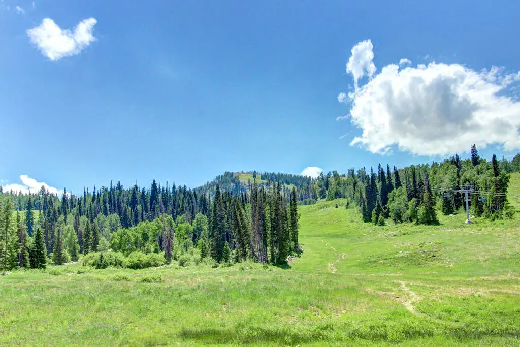 Eagle Springs East 315 - Benjamin Suite