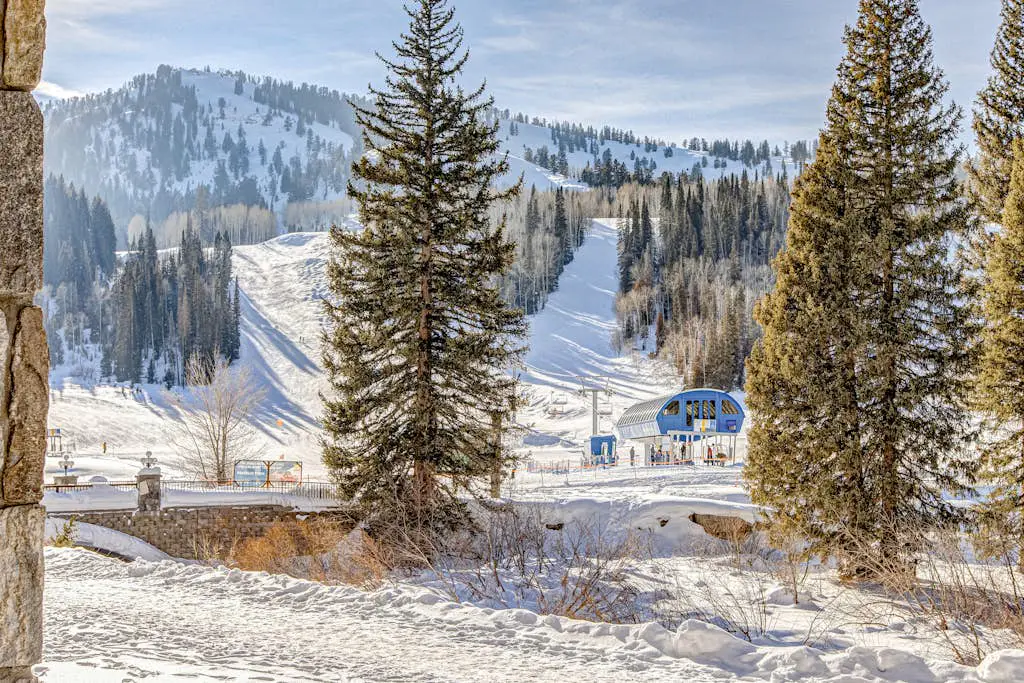 Stay in Solitude -Creekside 102