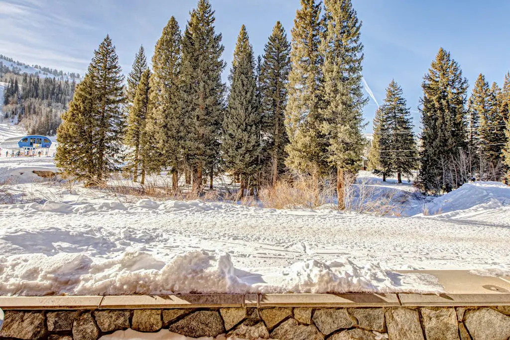 Stay in Solitude -Creekside 102