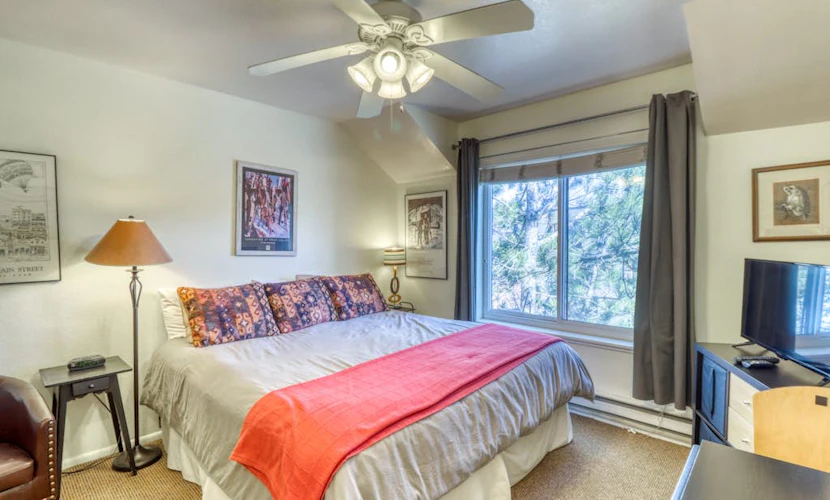 Studio condo with pool & hot tub - disability access, near the slopes