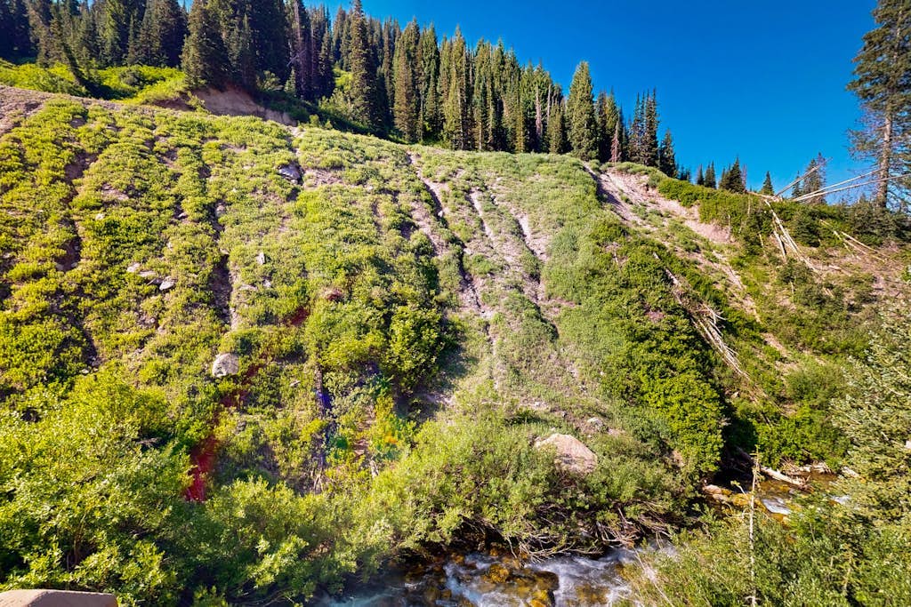 Iconic creekside mountain home with hot tub, fireplaces, balcony & amazing views