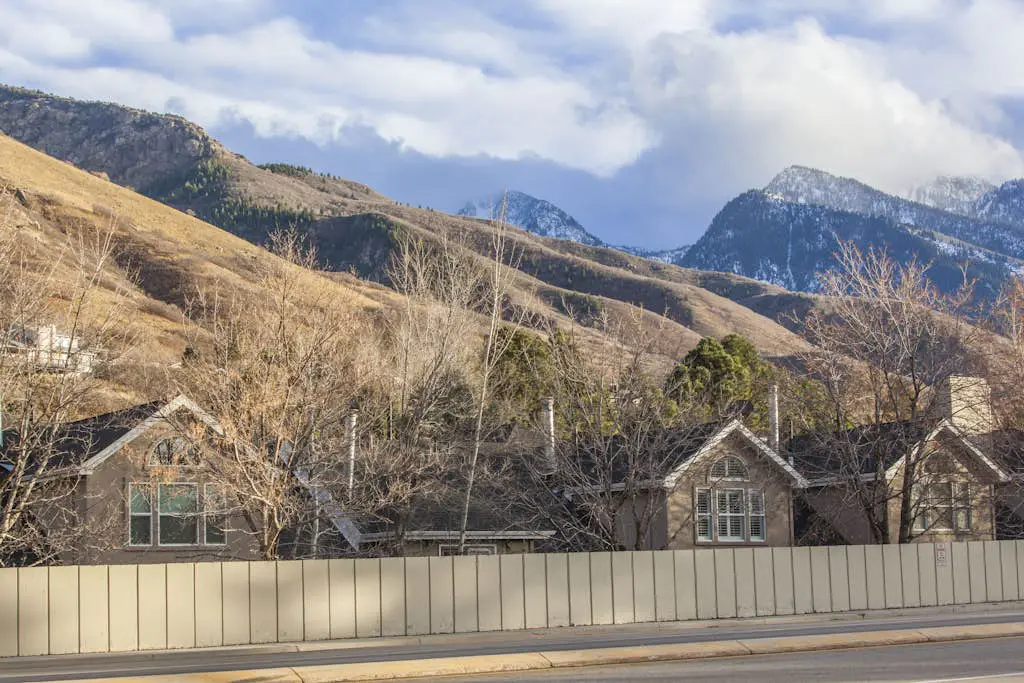 Skier's Four-Leaf Clover
