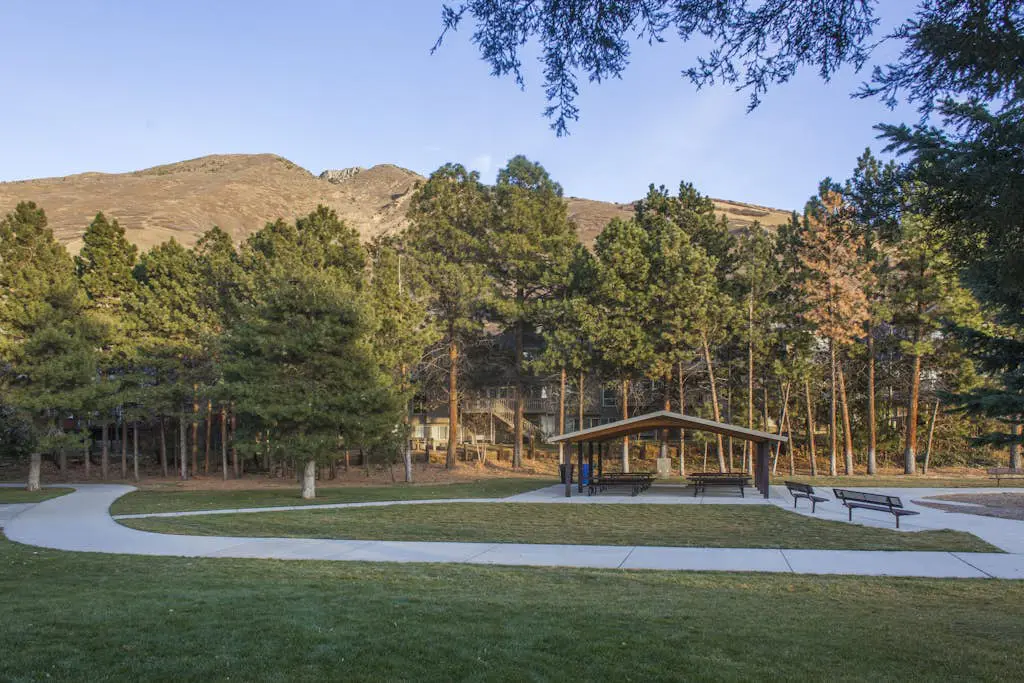 Skier's Four-Leaf Clover