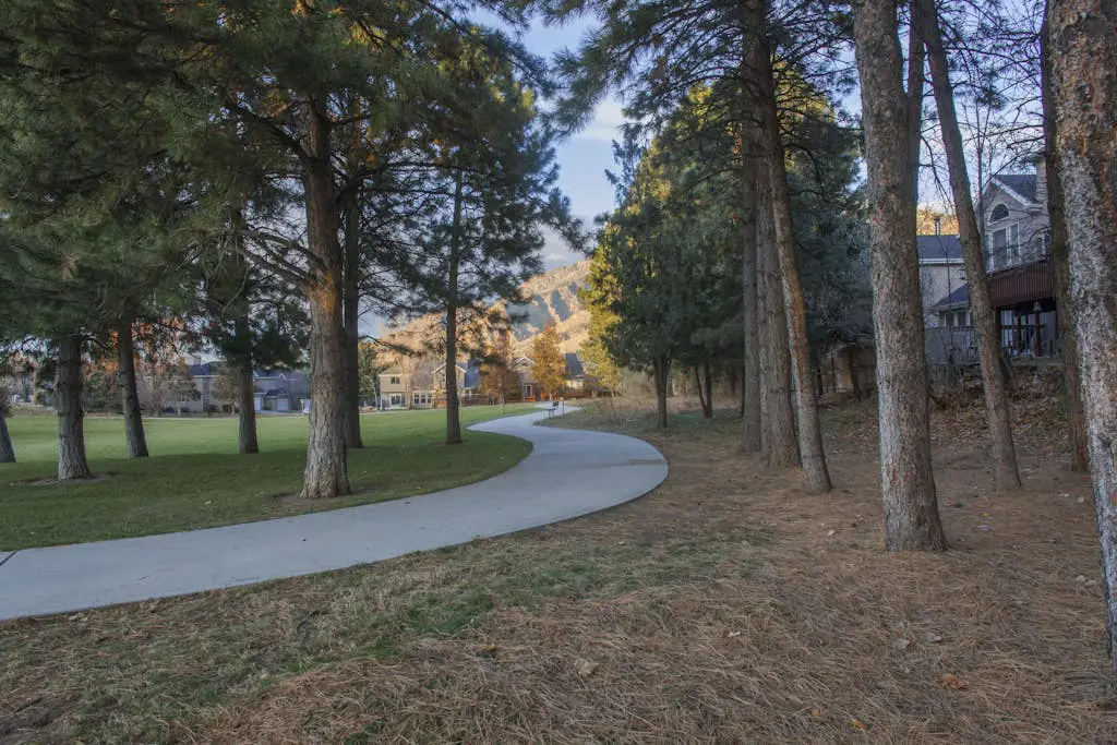Skier's Four-Leaf Clover