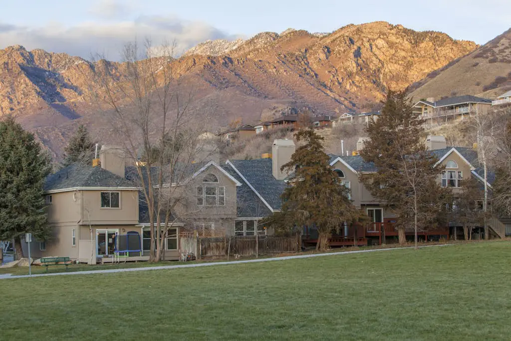 Skier's Four-Leaf Clover