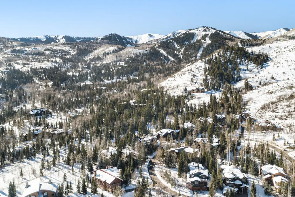 The Full Circle Estate