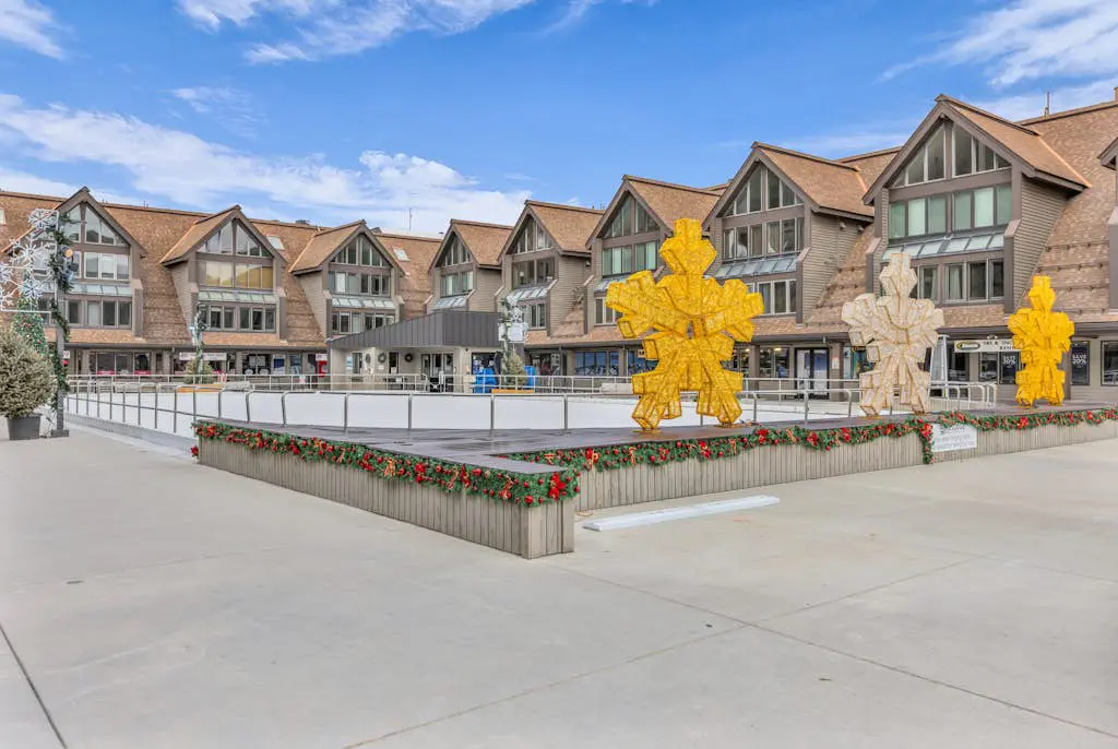SKI-IN/SKI-OUT Mountain Village Lodge 221