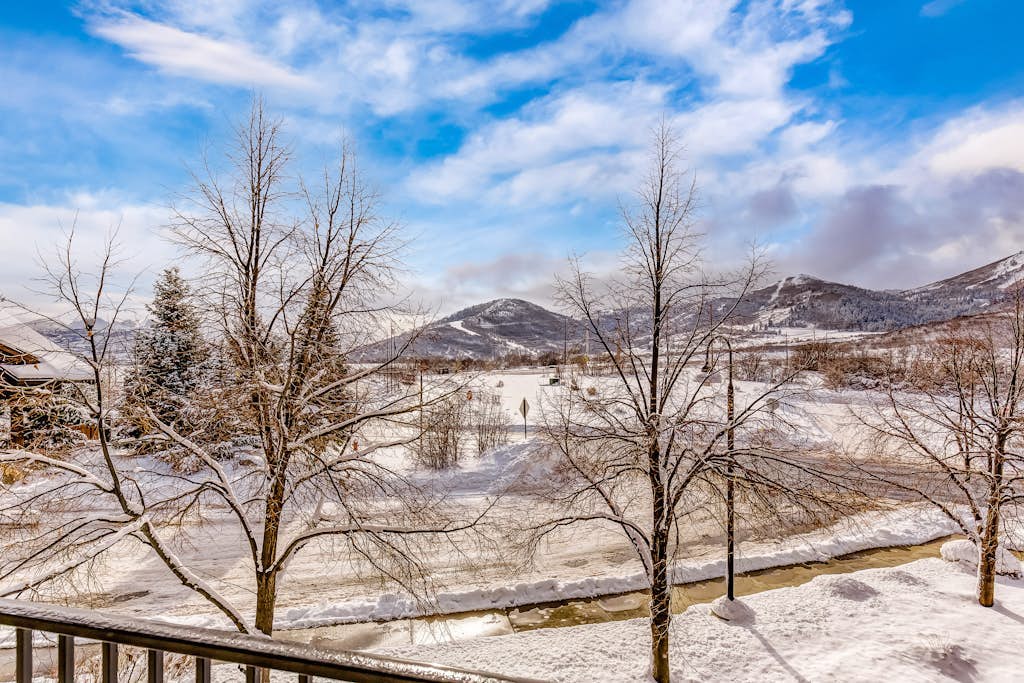 Plush condo with pool, gym, hot tubs, garage & central AC - snowbird-friendly