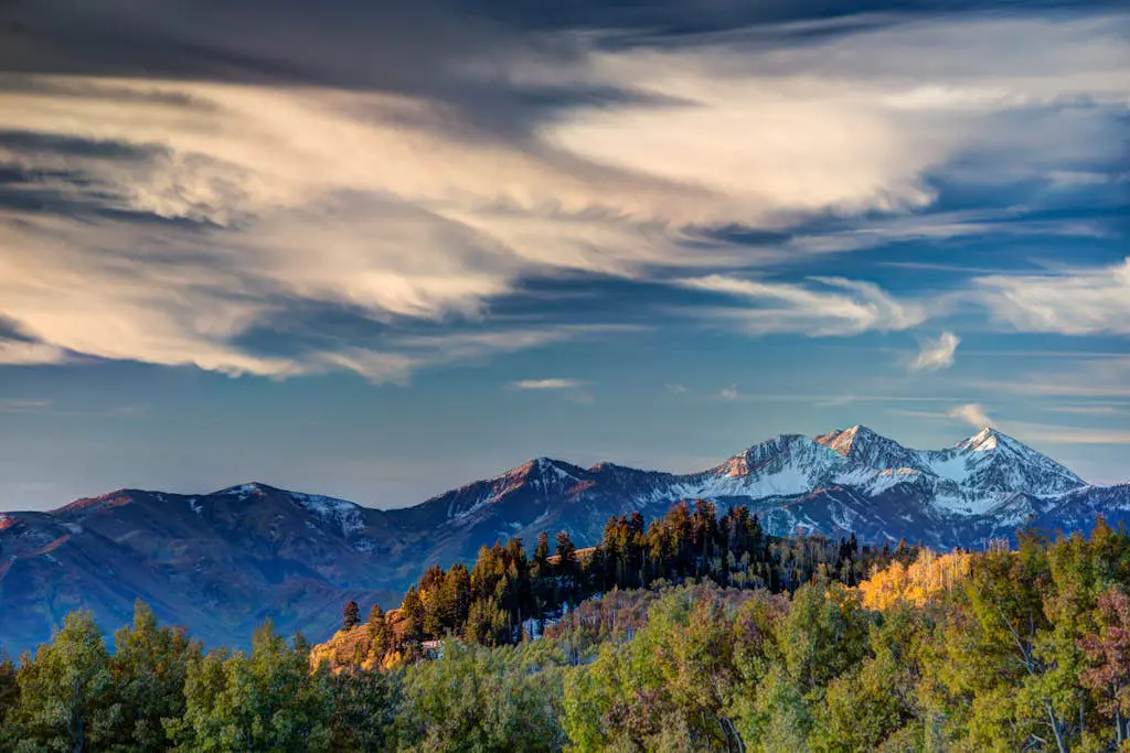 Snowcrest 114