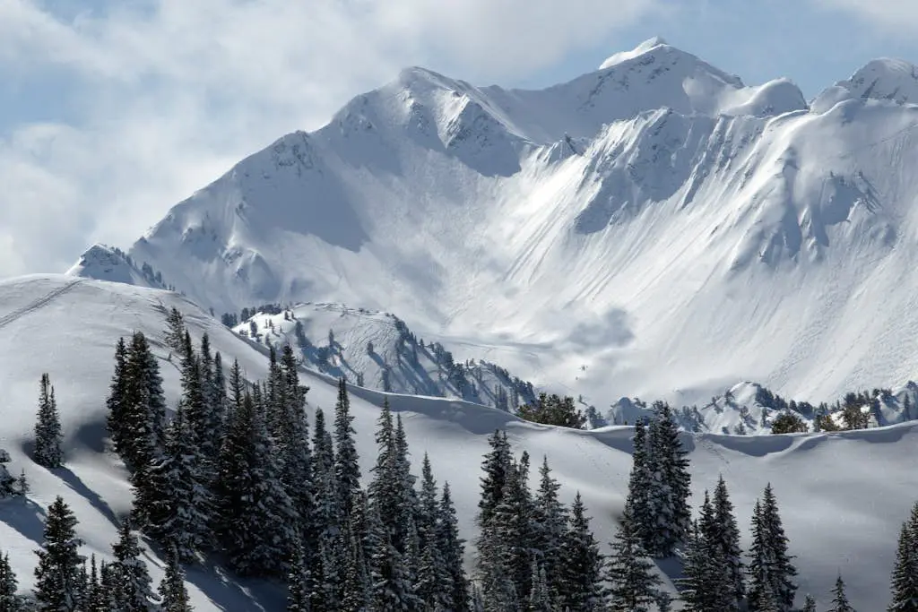 Snowcrest 114