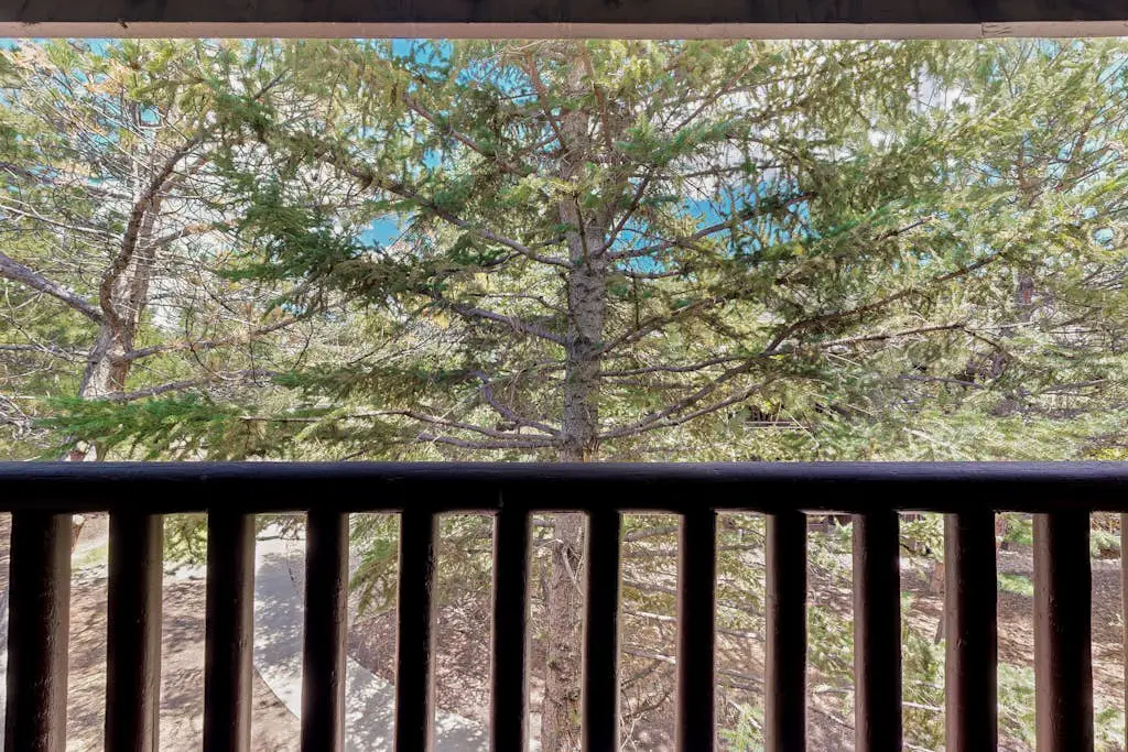 Quaint Prospector Lodge Studio #729