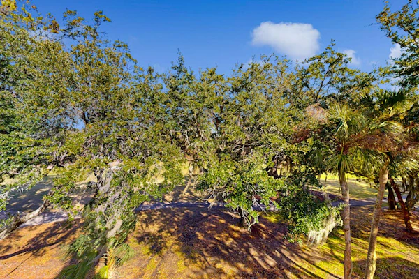 Golf-view condo with amenity pass to pool, tennis courts & more - dog-friendly