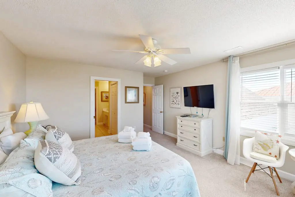 Dolphin Watch - A Side