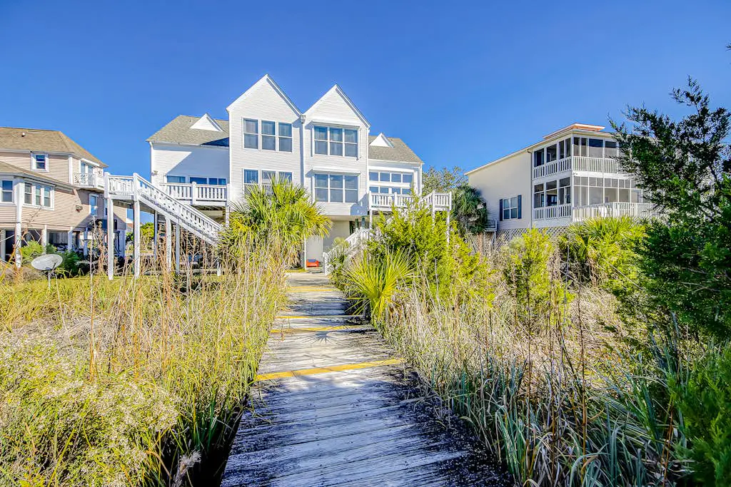 Dolphin Watch - A Side