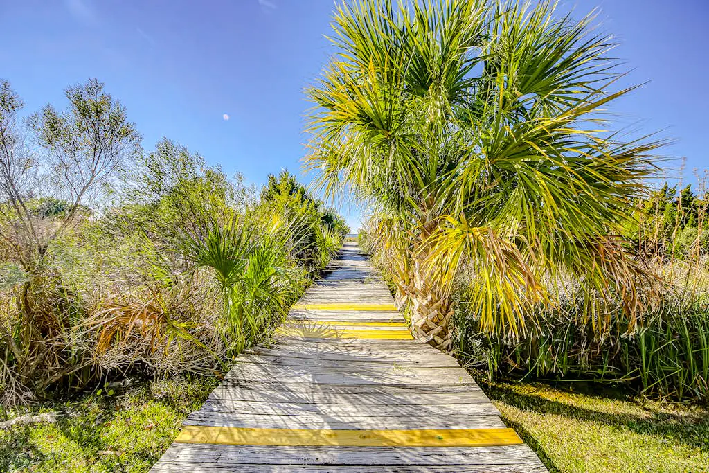 Dolphin Watch - A Side