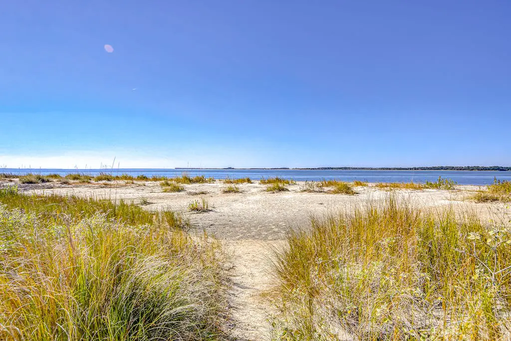 Dolphin Watch - A Side