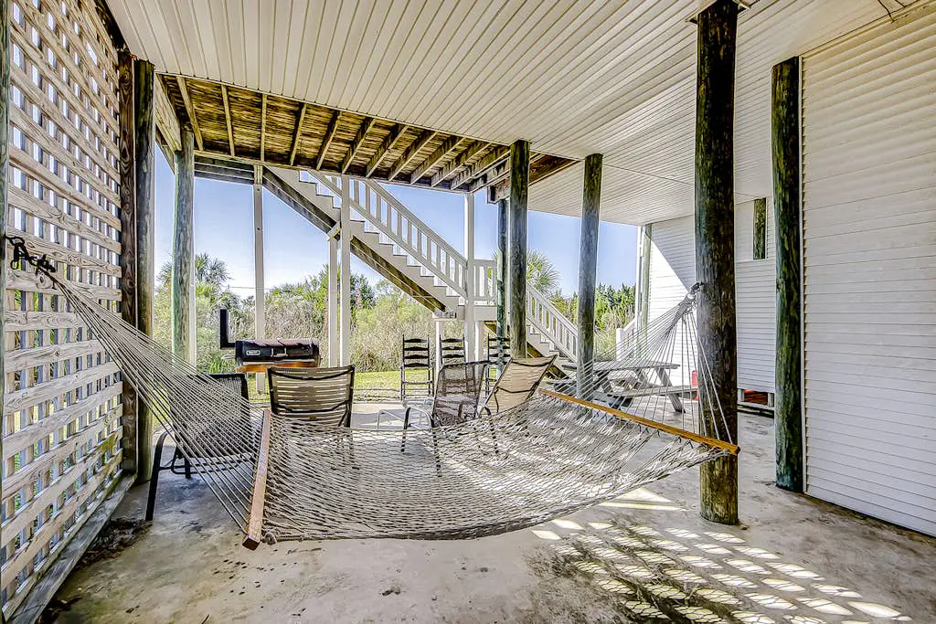 Dolphin Watch - A Side