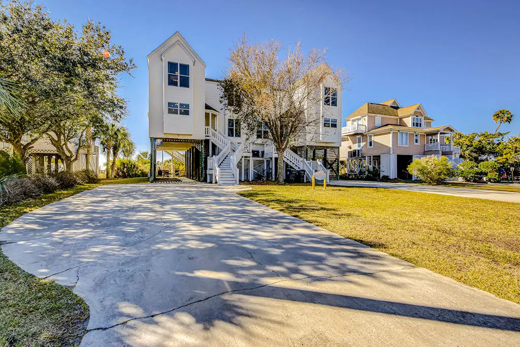 Dolphin Watch - A Side