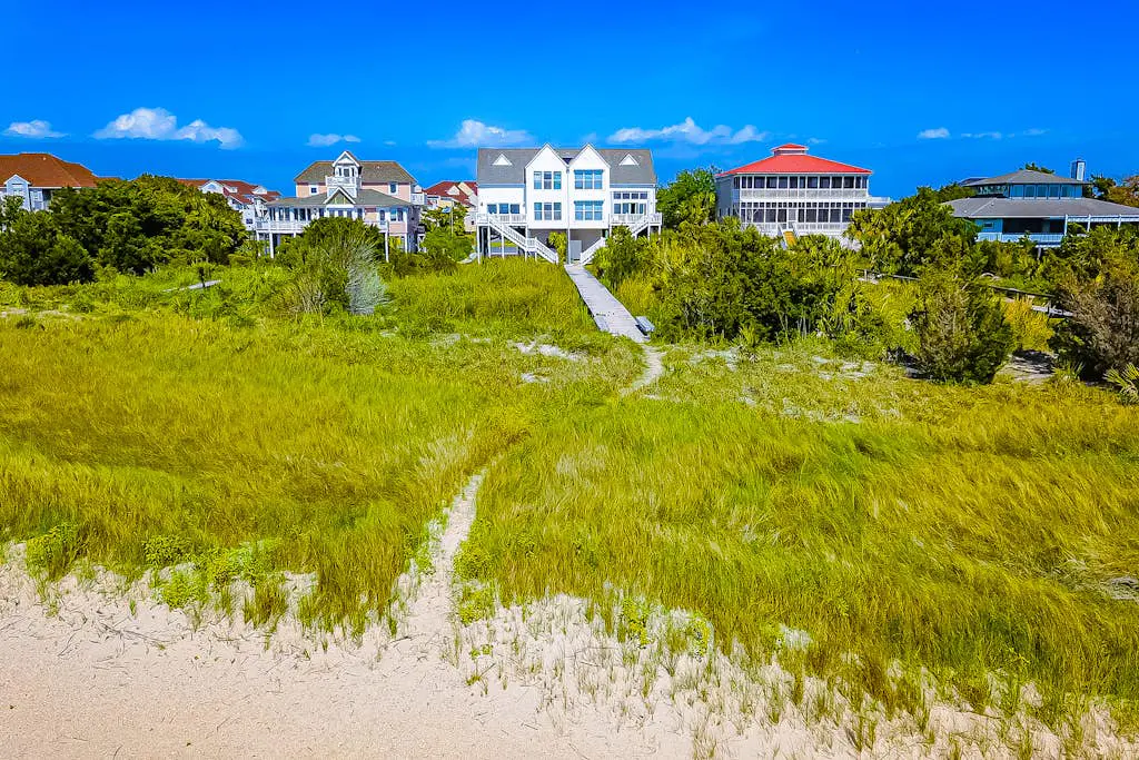 Dolphin Watch - A Side