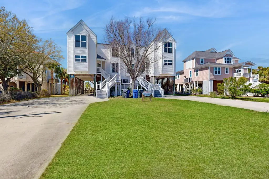 Dolphin Watch - A Side