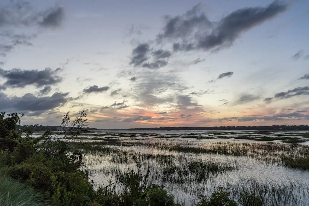 Shorewood, Unit 530 | Penthouse condo in Hilton Head with ocean views