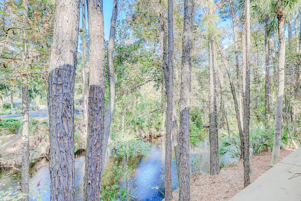 Dog-friendly condo with pool, central AC, & washer/dryer - quick walk to beach