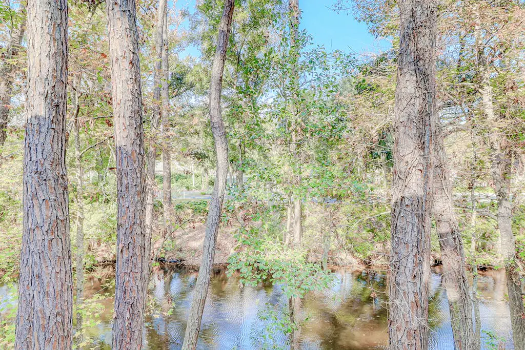Dog-friendly condo with pool, central AC, & washer/dryer - quick walk to beach