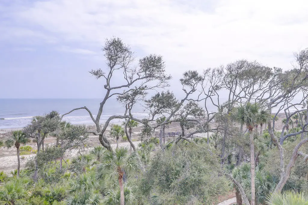 Sunlit Oceanfront Condo with Two Balconies, Wet Bar, Beach Views & WiFi