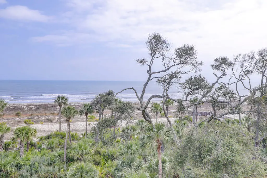 Sunlit Oceanfront Condo with Two Balconies, Wet Bar, Beach Views & WiFi