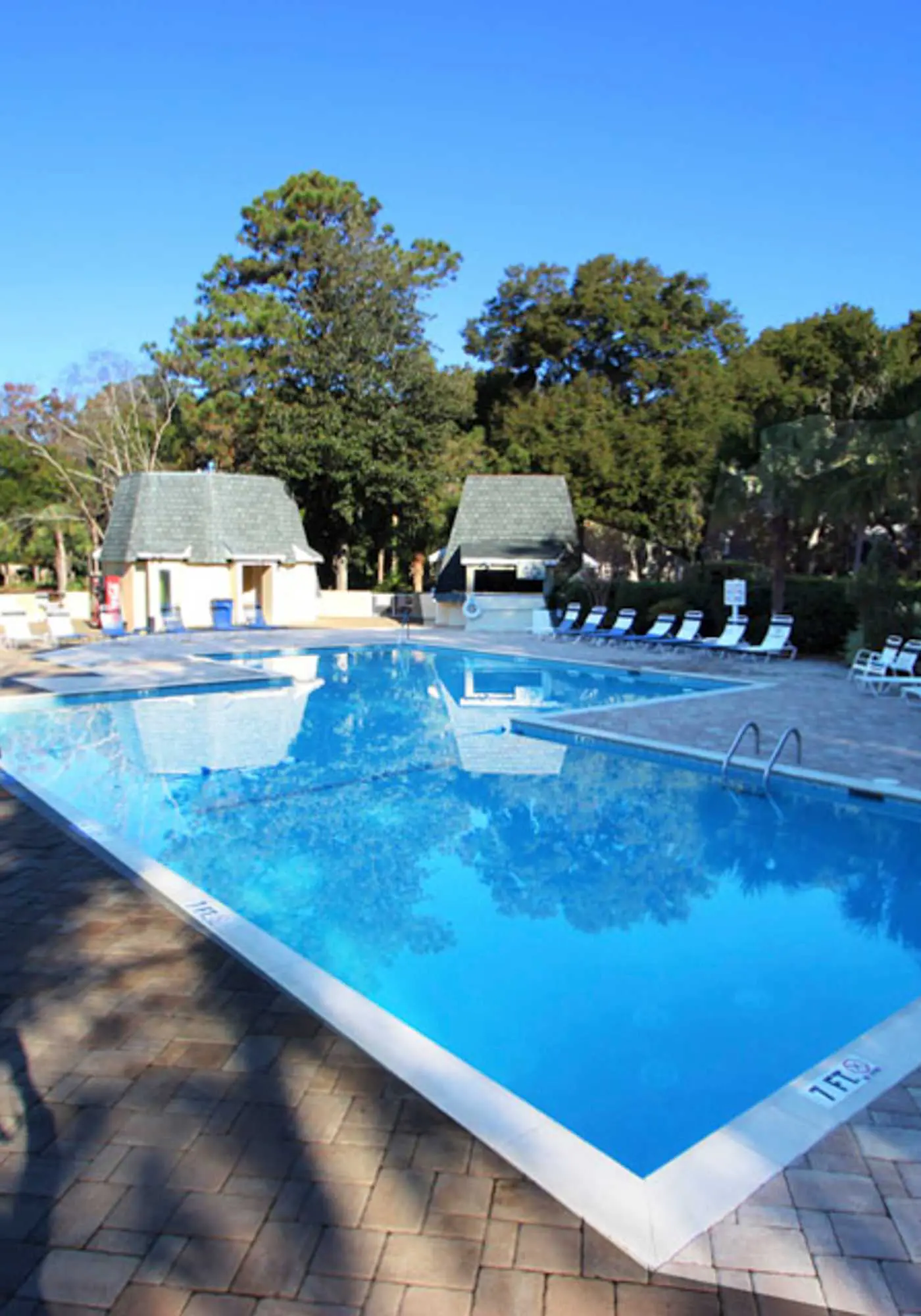 Renovated Dog Friendly Villa with Patio & Pool  Near Golf & Beach
