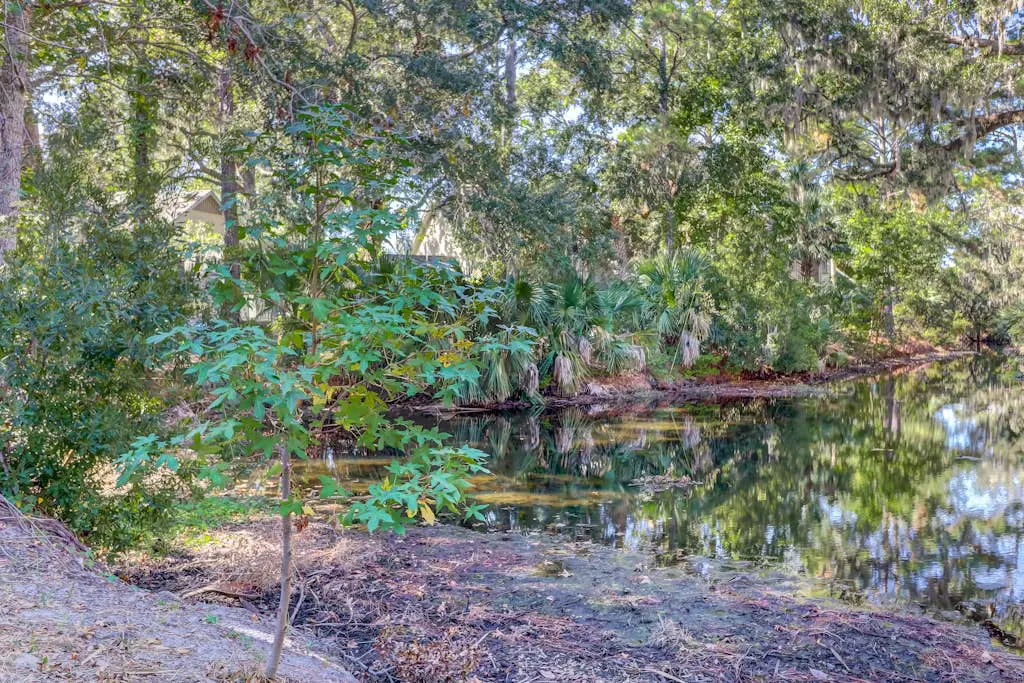 Splendid condo,  pool, full kitchen, & patio