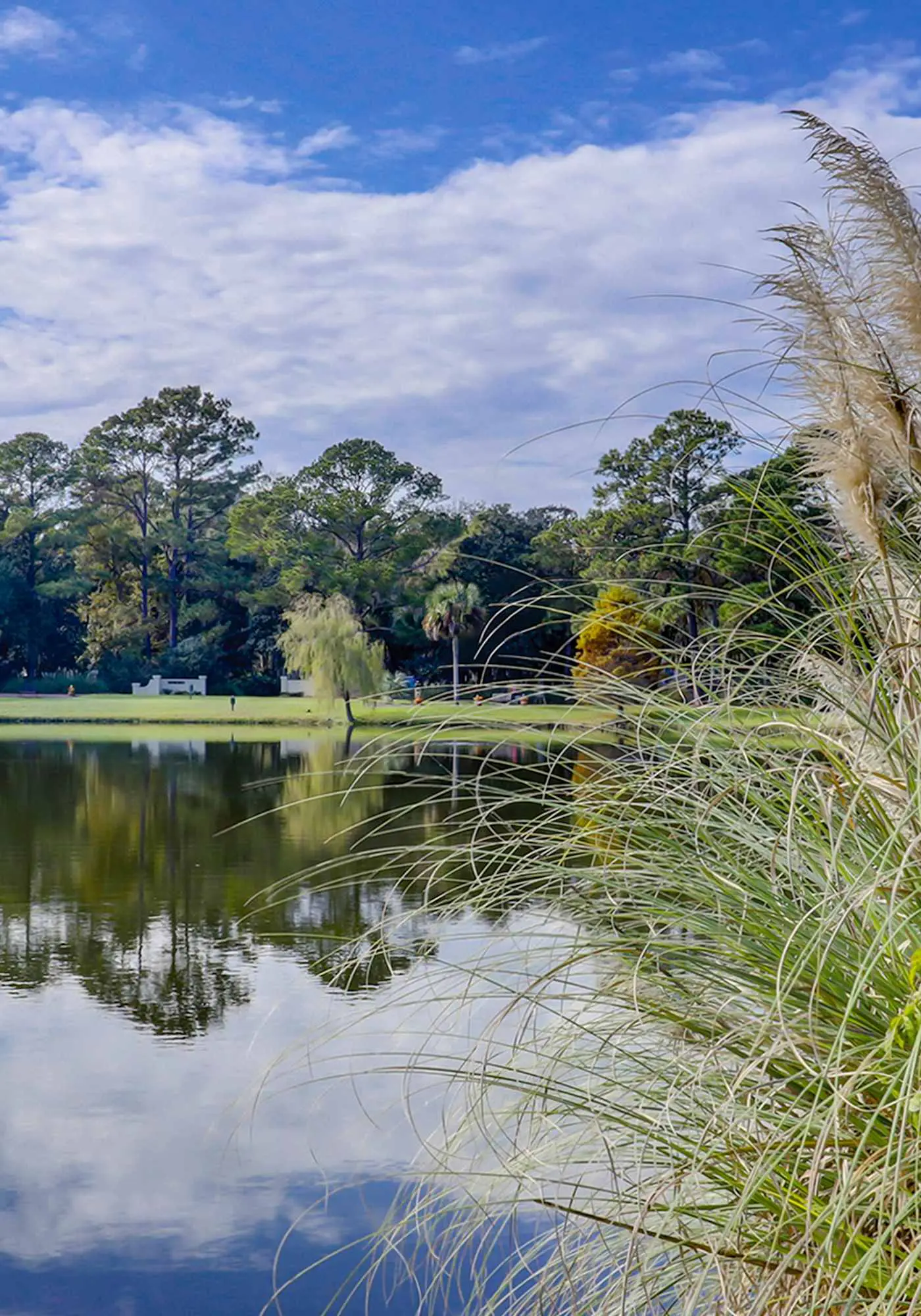 Dog-Friendly with pool, tennis, covered deck, beach nearby + golf views