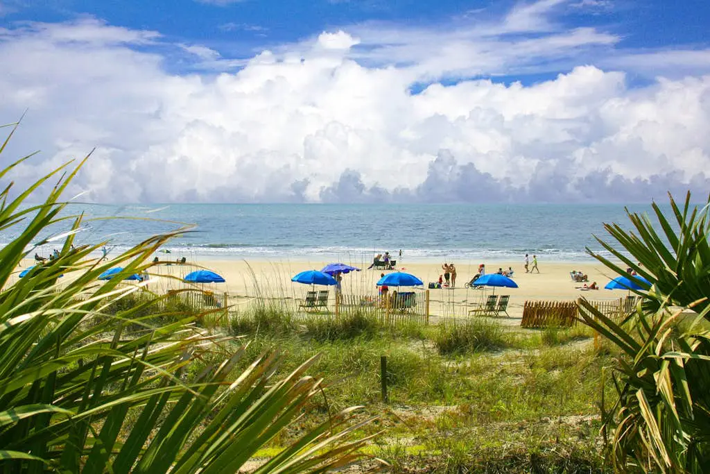 Spacious Palmetto Dunes condo with private patio, shared pool, pickleball & golf