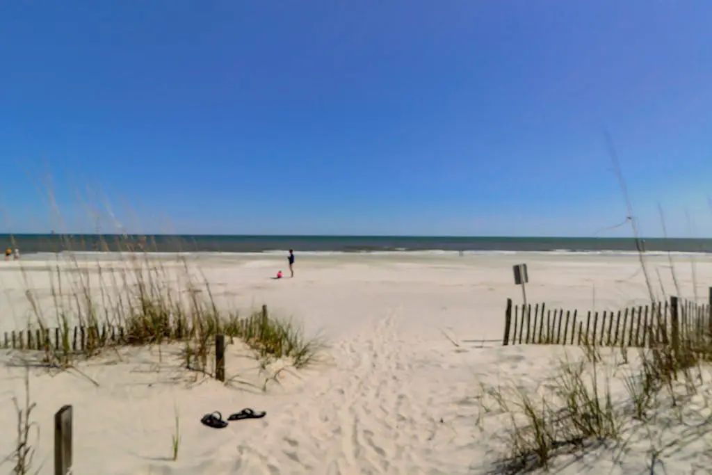 Dog-Friendly Condo with pool, golf, and just steps to the beach