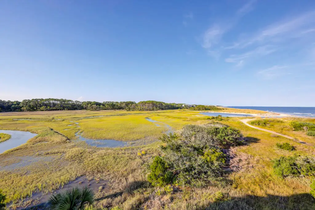 Ocean and Marsh View Home with private pool, dog friendly, beachfront