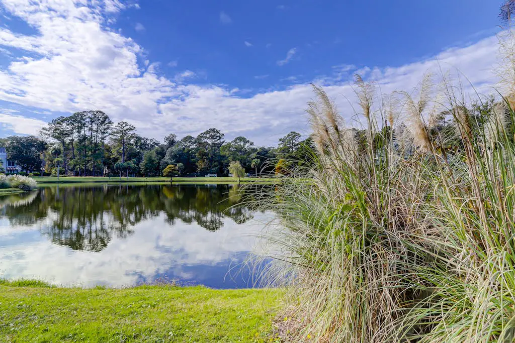 Spacious & dog-friendly condo w/ golf course view, shared pool and tennis court