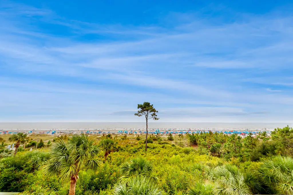 Newly-renovated  getaway in North Forest beach w/ oceanfront views