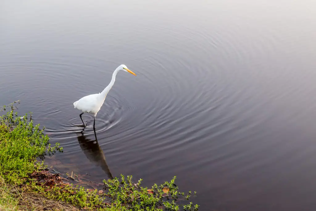 Charming, family-friendly condo w/ private deck - close to golf & the beach