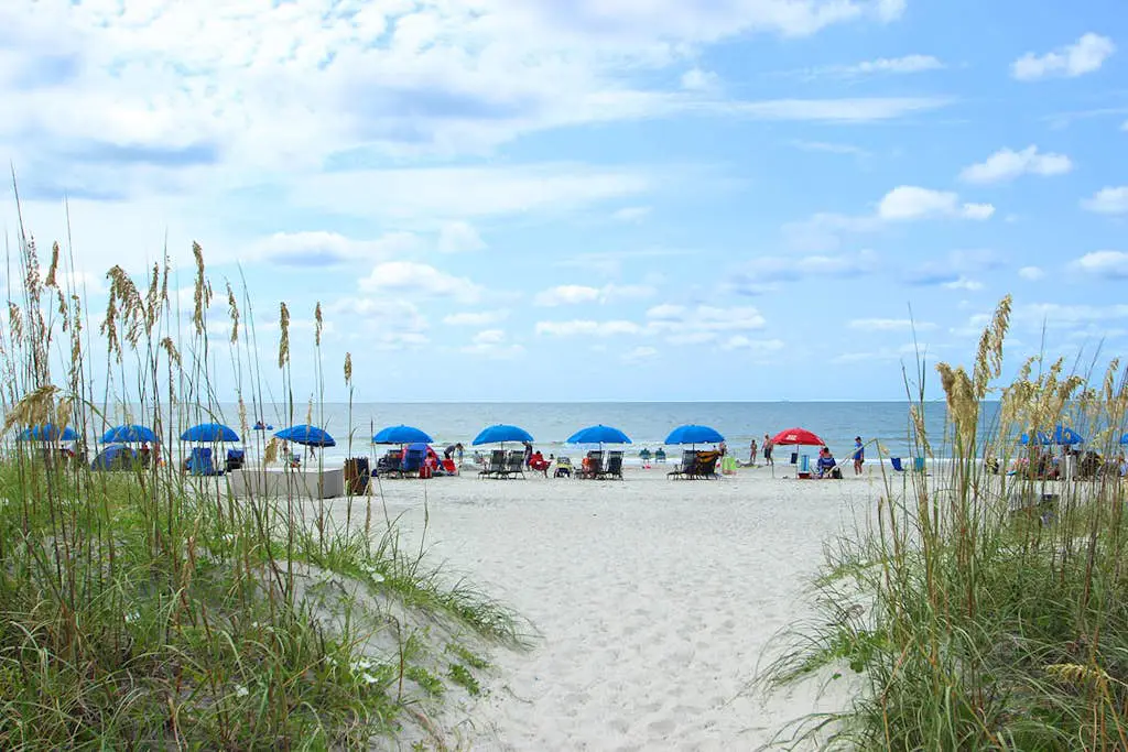 Stunning Newly Renovated Condo w/ Ocean View & Shared Pool - Close to the Beach