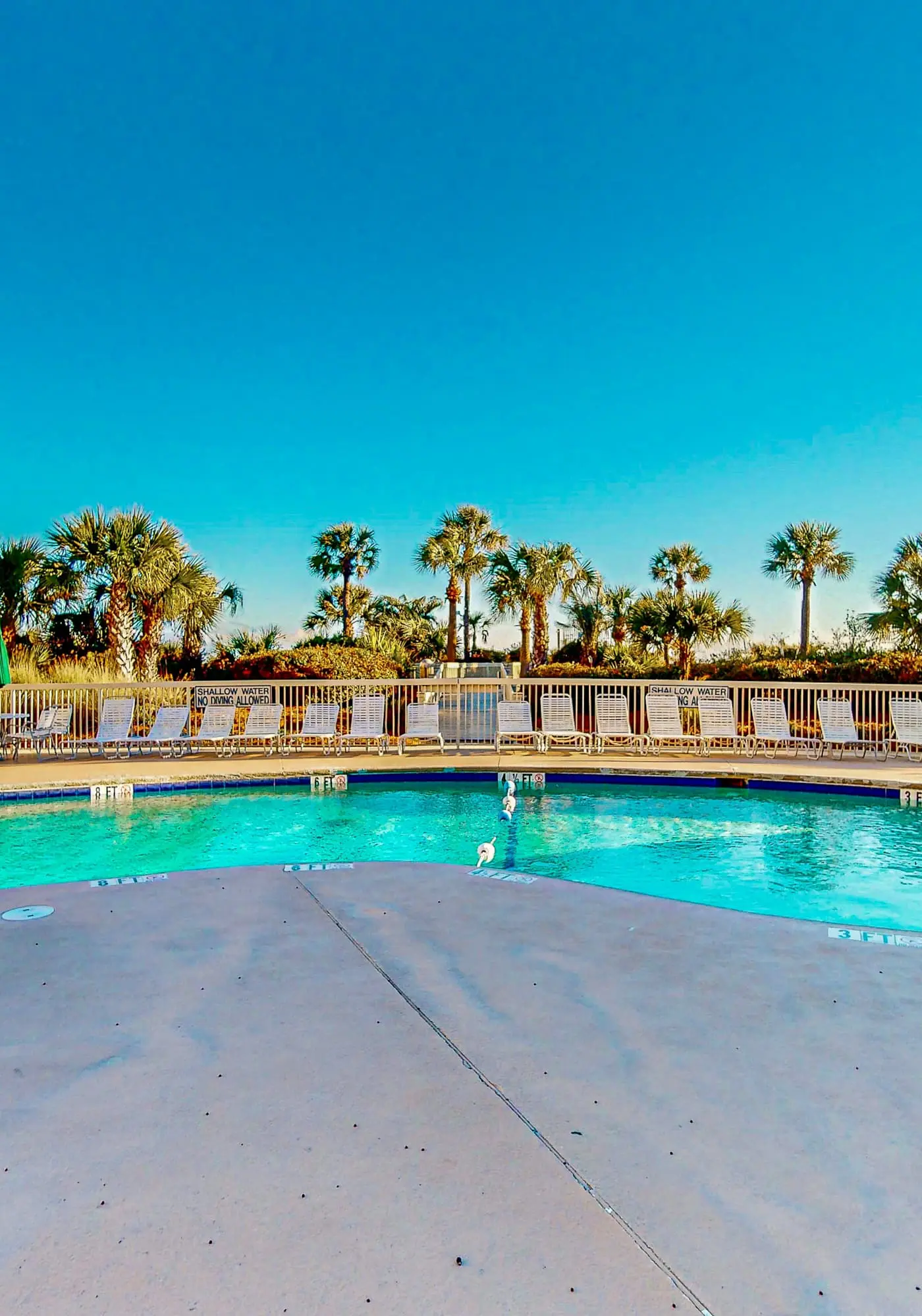 Beach-view condo in oceanfront complex with outdoor pool, beach access & balcony