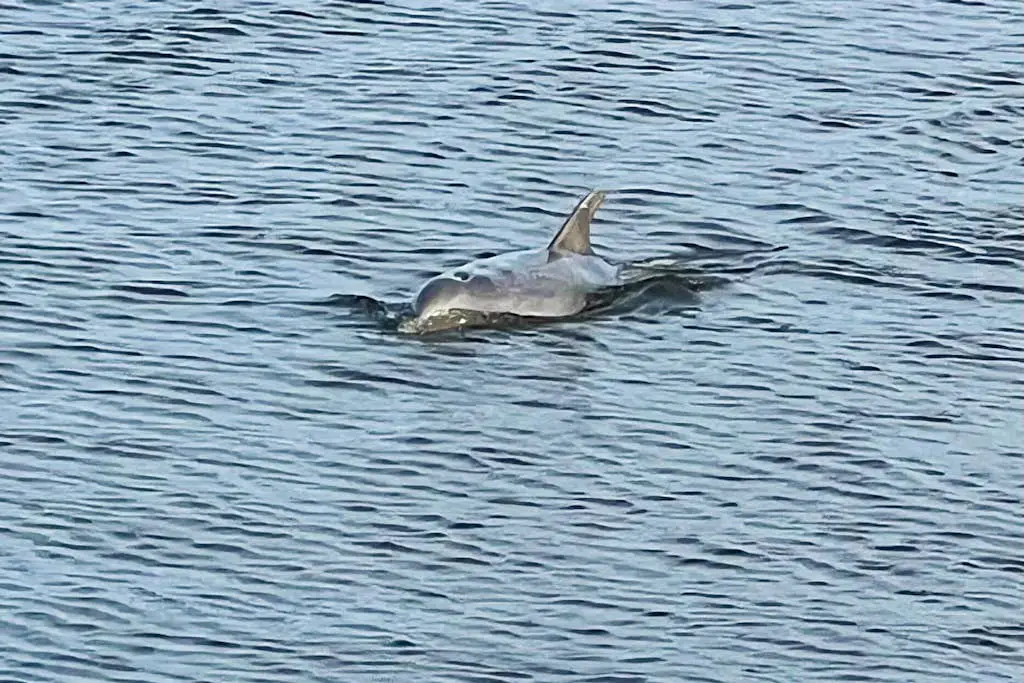 Beautiful condo with full kitchen, free wifi and golf course views