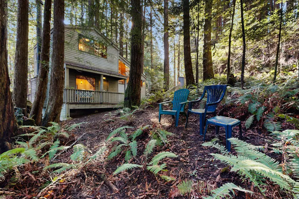 Dog-friendly forest retreat among redwoods, walk to Hot Spot & Gualala River