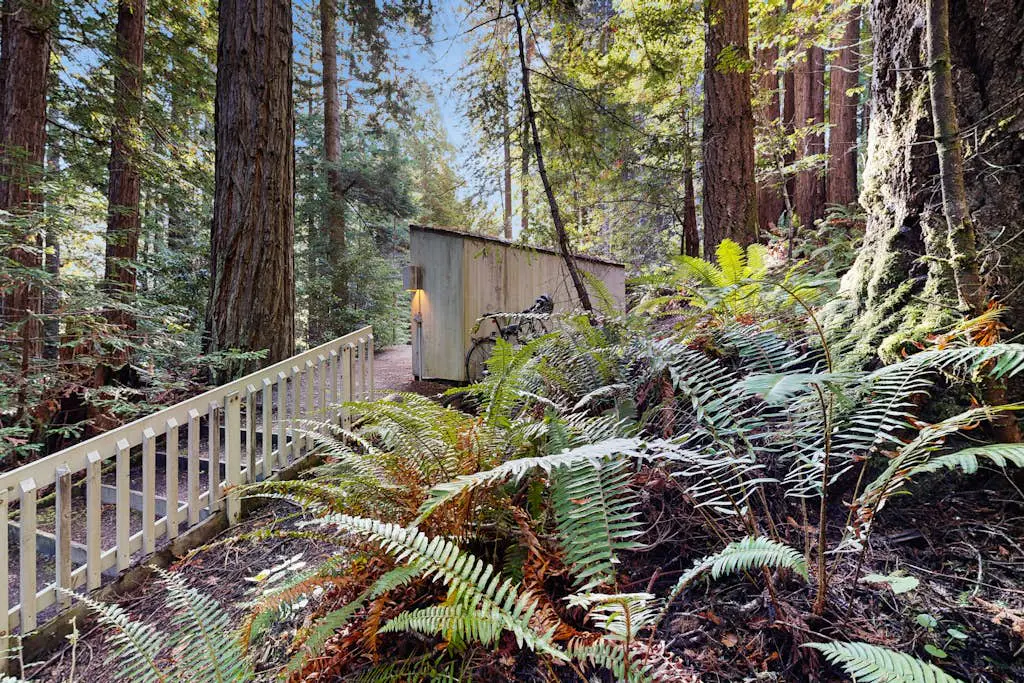 Dog-friendly forest retreat among redwoods, walk to Hot Spot & Gualala River