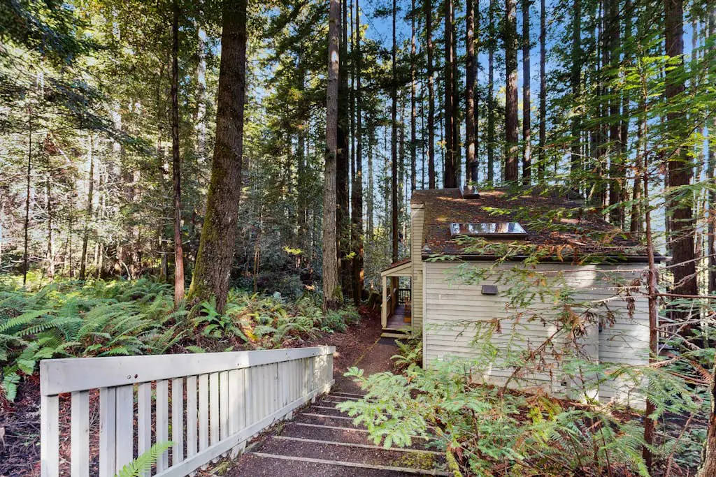 Dog-friendly forest retreat among redwoods, walk to Hot Spot & Gualala River