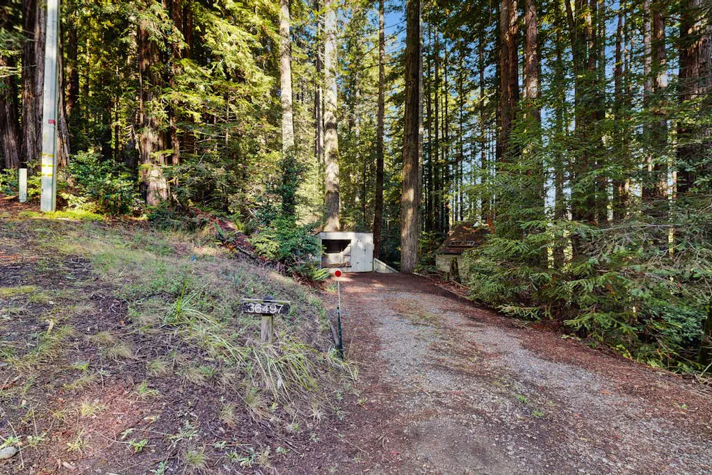 Dog-friendly forest retreat among redwoods, walk to Hot Spot & Gualala River