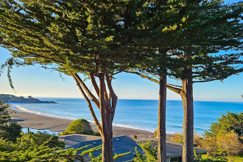 Eagle's Landing - Main House - Updated home with ocean views, private hot tub, fire table, outdoor kitchen