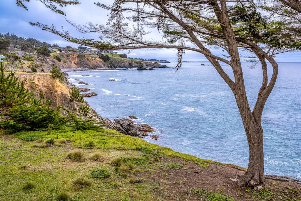 Oceanfront Dream Hideaway and Retreat