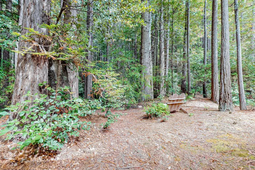 Forested home with deck & grill near the Lodge, dogs welcome