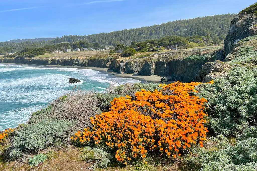 Ocean-view meadow studio near Shell Beach