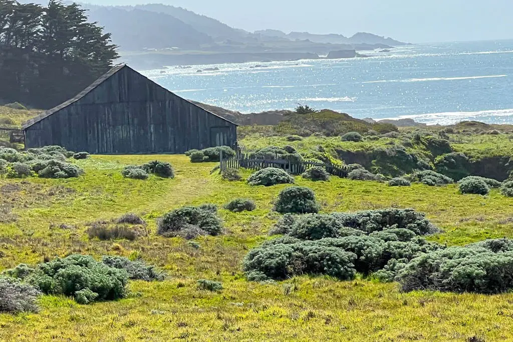 Ocean-view meadow studio near Shell Beach